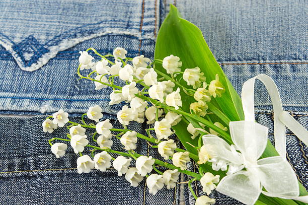 istock Lily of the valley 537320740