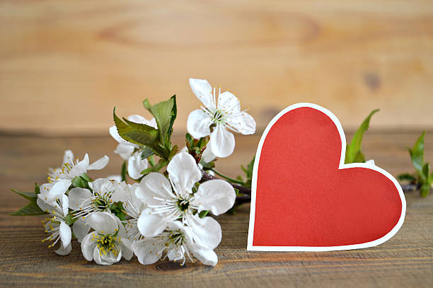 istock Blank greeting card in shape of a heart 537322582
