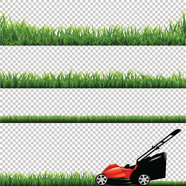 stockillustraties, clipart, cartoons en iconen met lawnmower with green grass - sportveld