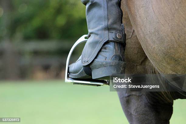 Thoroughbred Horse Rider Stirrups Stock Photo - Download Image Now - Boot, Equestrian Event, Farm
