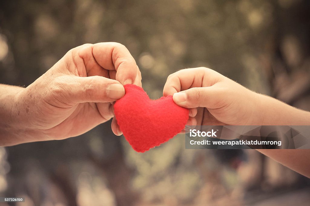 Family love old hands holding young hands of a baby with red heart / Love and relationship in a family Child Stock Photo