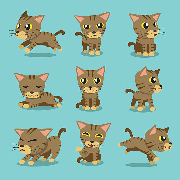 Brown Tabby Cat Cartoon Illustrations, Royalty-Free Vector Graphics & Clip  Art - iStock