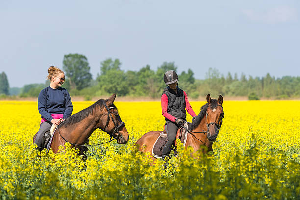 istock Girls rides a horse 537332410