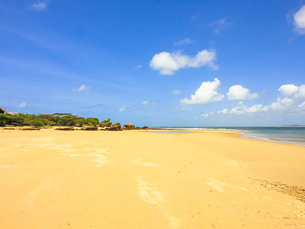 istock manda island beach in kenya near lamu 537334744