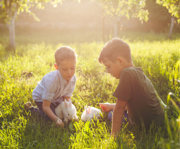istock Rabbits and cute boys 537338118