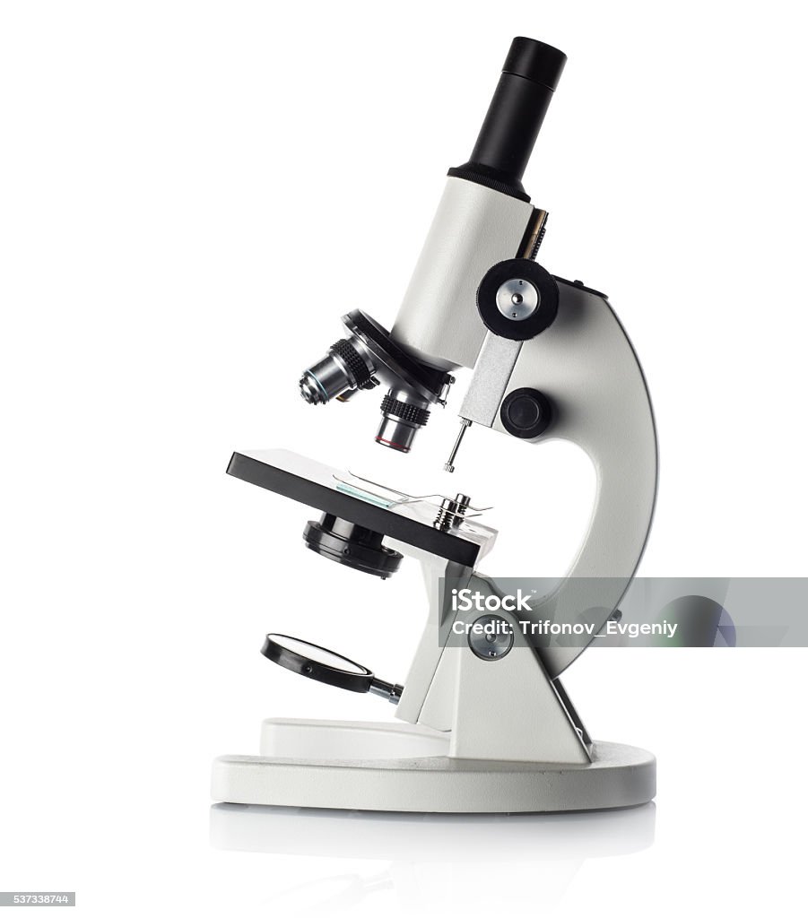 Mikroskop  - Lizenzfrei Mikroskop Stock-Foto