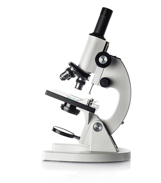 Microscope Microscope isolated on white microscope stock pictures, royalty-free photos & images