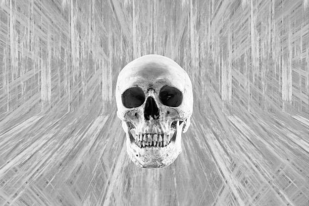 istock Art Human Skull on vintage wood texture background 537339090