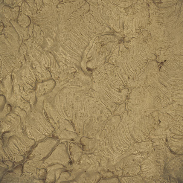 istock Design. Closeup of wall as background or texture 537340028