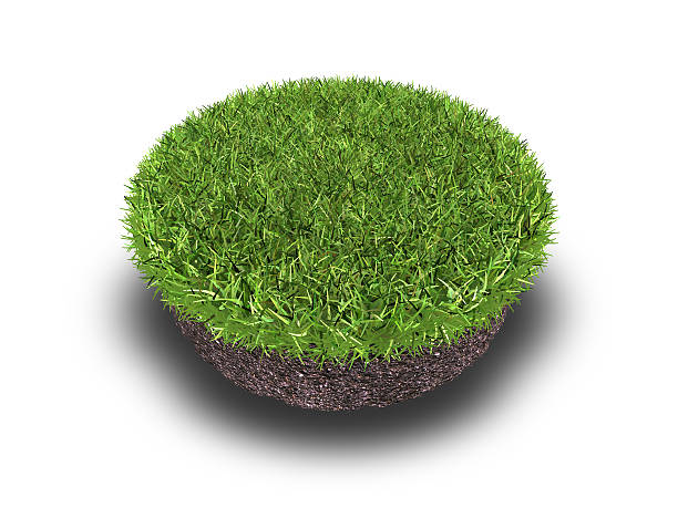 cross section of ground with grass isolated on white, 3d rendering