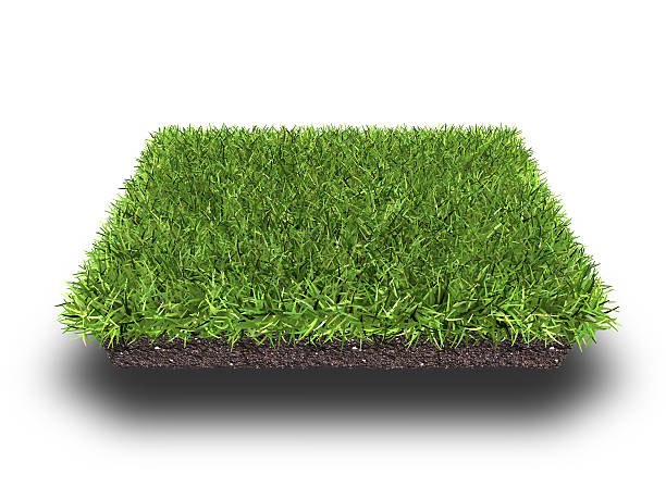 istock cross section of ground with grass 537342280