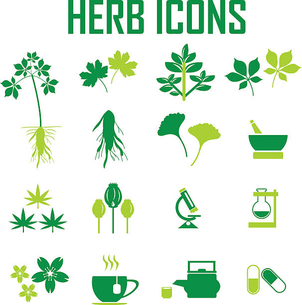 zioło ikony, mono wektorowych symboli - herbal medicine ginkgo herb capsule stock illustrations