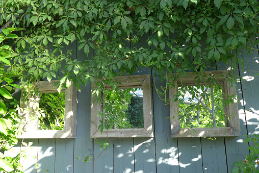 three mirror on a wooden wall in a romaritic garden. 