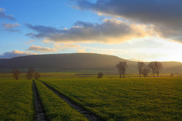 Sunny day with big blue sky and clouds. A small road starts from the bottom of the photo and goes up to the horizon line with sinusoidal curves. The sun is in front and shining. The countryside is on either side of the road.