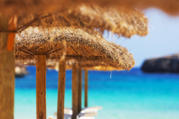 istock Straw parasols and beds on the sandy beach. 537346629