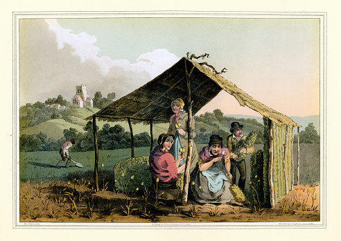 Vintage colour engraving of agricultural workers picking teasel or Dipsacus sativus. The crop was used in the textile industry, the heads of the plant was used for raising the nap of the cloth. The Costume of Yorkshire by George Walker. 1815