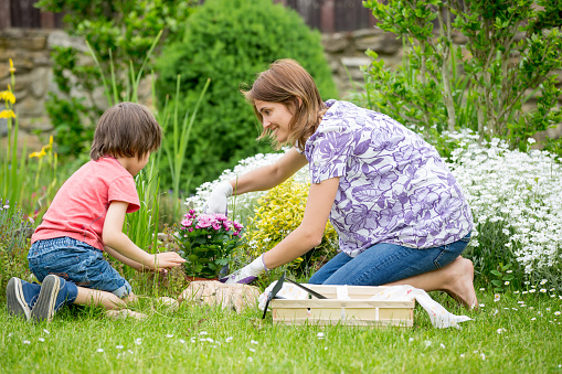 Mother and son gardening together in their little garden in the backyard, springtime