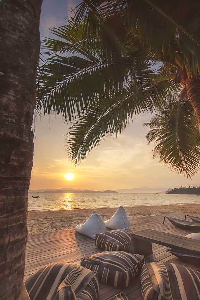istock Sunrise with cushions and coconut palm trees on beach background 537351880