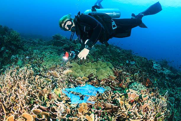 istock SCUBA diver and plastic bag on a coral reef 537352103