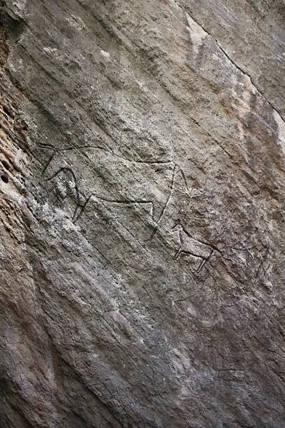 Prehistorical petroglyphs in Qobustan, Azerbaijan. Qobustan petroglyphs are listed by UNESCO as World Heritage.