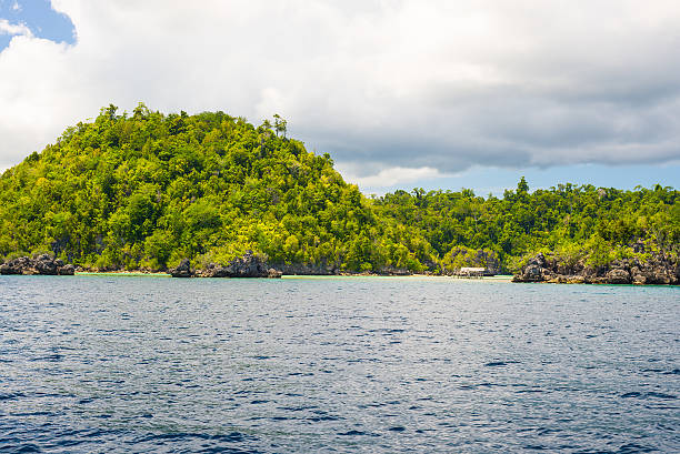 istock Scenic coastline in the Togian archipelago 537355830