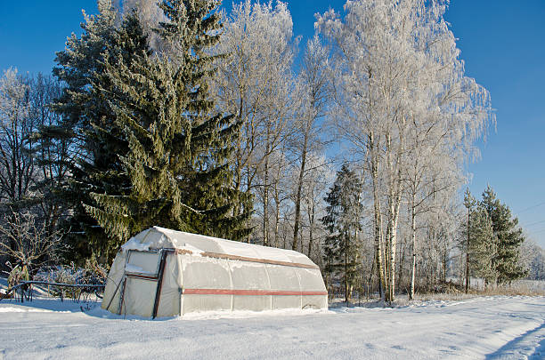 istock plastic greenhouse hothouse in winter farm 537356830