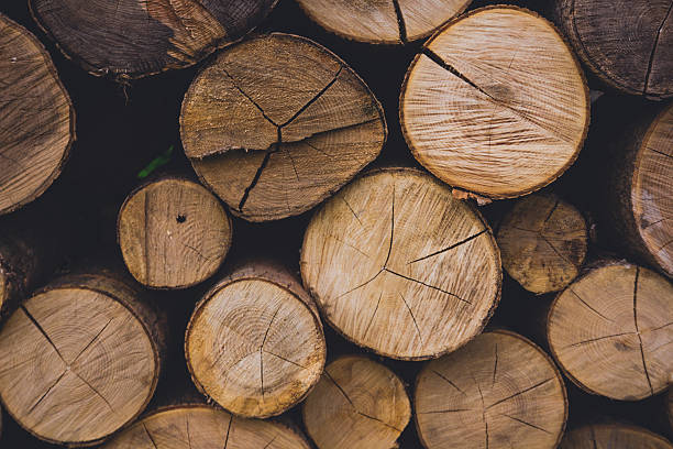 Natural wooden background closeup of chopped firewood. Firewood stacked and prepared for winter Pile of wood logs tree trunk stock pictures, royalty-free photos & images