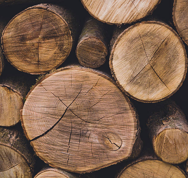 istock image of dry firewood laid in a heap 537357084