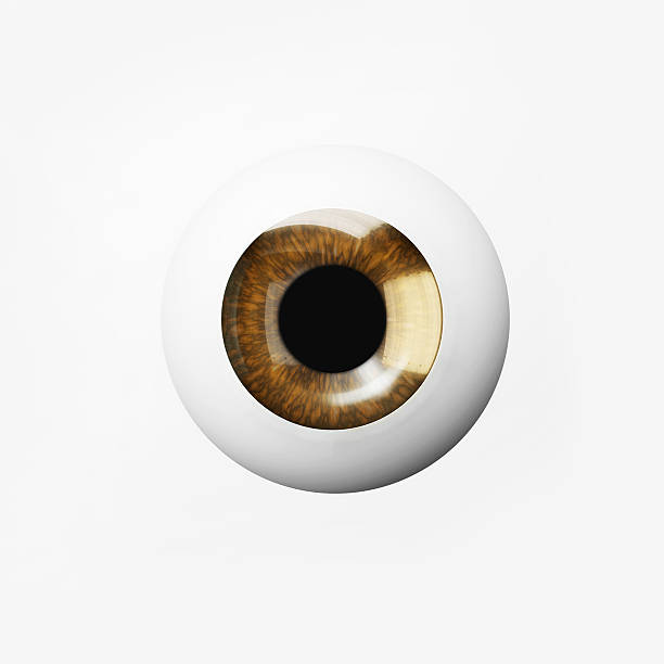 istock 3d illustration of brown eye on white background. 537358192