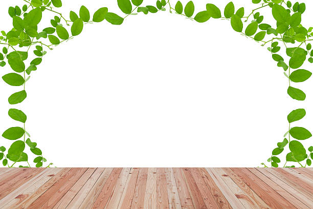 istock Wood floor texture and green leaves frame on white background. 537358714