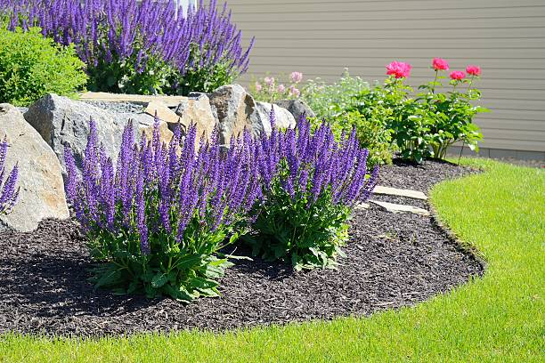 샐비어 꽃과 바위산 옹벽 - landscaped retaining wall stone flower bed 뉴스 사진 이미지