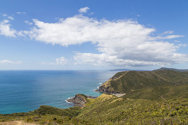 istock Coastline at Cape Reinga, New Zealand 537364098