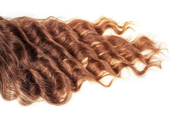 istock Wavy brown hair isolated on white. 537364356