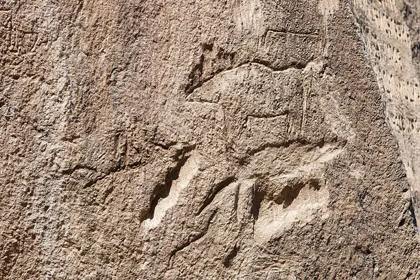 Prehistorical petroglyphs in Qobustan, Azerbaijan. Qobustan petroglyphs are listed by UNESCO as World Heritage.