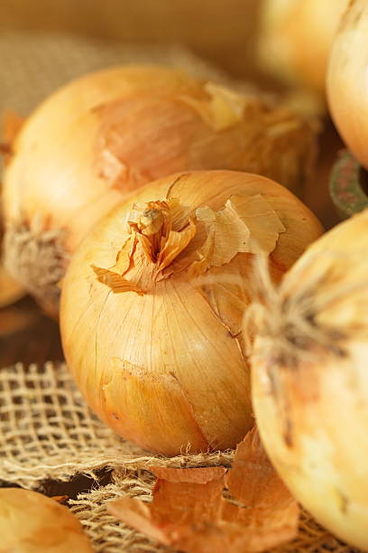 istock Heads of raw yellow onions 537368338