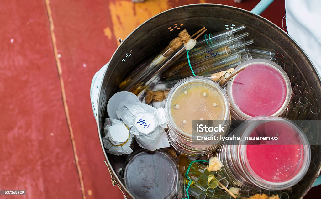 Petri dishes and test tubes Petri dishes and test tubes stacked in metal container 2015 Stock Photo