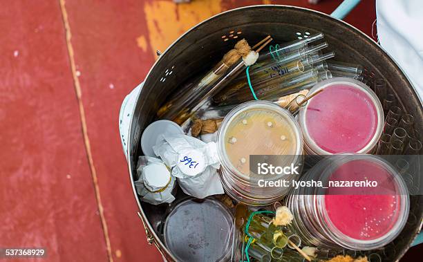 Petri Dishes And Test Tubes Stock Photo - Download Image Now - 2015, Agar Jelly, Analyzing