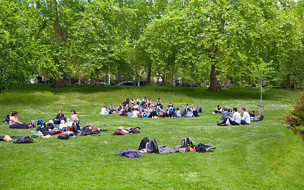 ludzie odpoczynku na trawie w st james park, london - pound symbol environment grass currency zdjęcia i obrazy z banku zdjęć