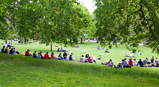 ludzie odpoczynku na trawie w st james park, london - pound symbol environment grass currency zdjęcia i obrazy z banku zdjęć