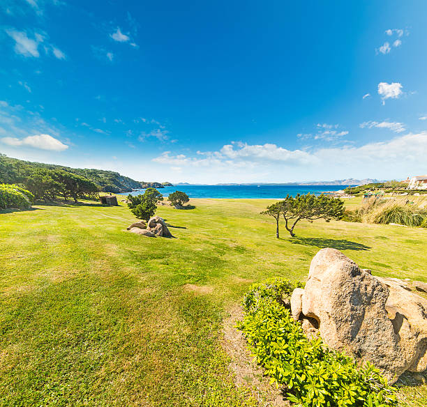 istock green meadow in Cala del Faro 537369720