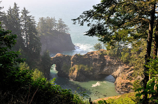Natural Bridge on Pacific Coast, near Gold Beach, OR.