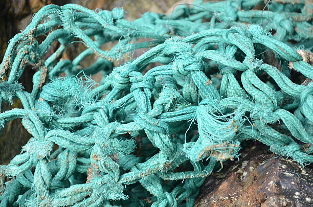 istock washed up fishing net 537370958