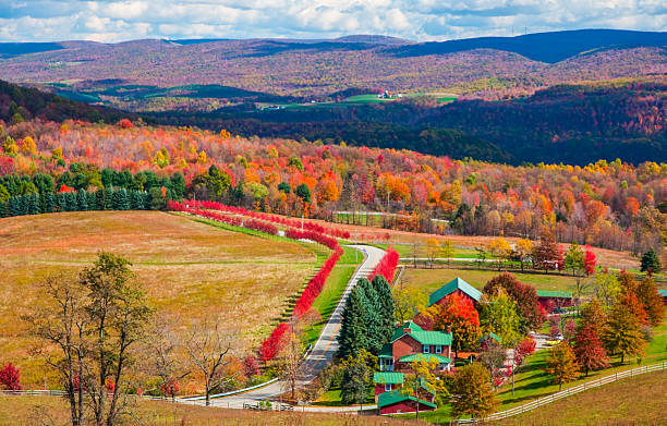 Kentuck Knob - Western Pennsylvania