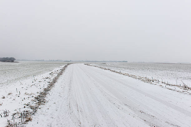 istock winter rural scene with fog and white fields 537372141