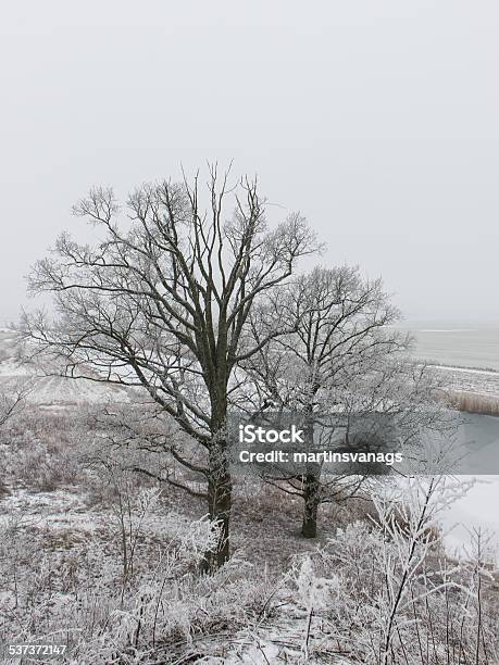 Winter Rural Scene With Fog And White Fields Stock Photo - Download Image Now - 2015, Backgrounds, Blizzard