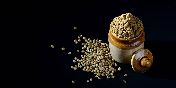 istock Coriander Powder and Coriander seeds 537375142