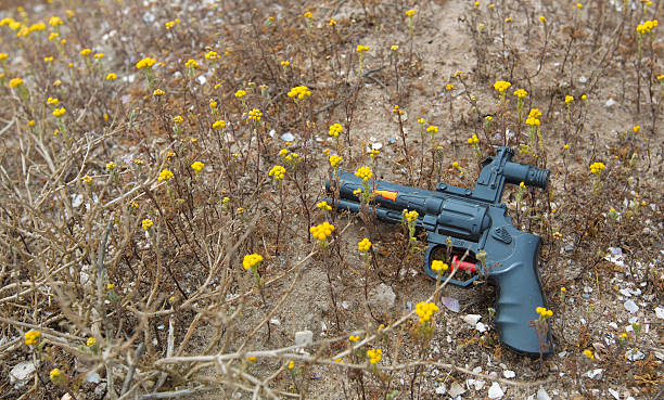 おもちゃの拳銃と黄色の花畑 - toy gun ストックフォトと画像