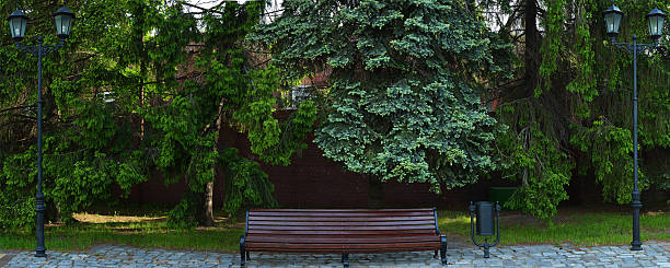 bench in spring park with street lamps. panorama