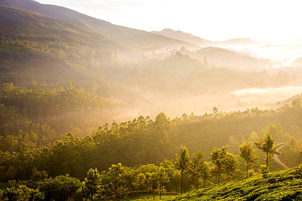 istock Majestic Sunrise Over The Mountains 537377960