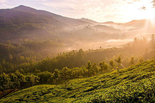istock Majestic Sunrise Over The Mountains 537378196